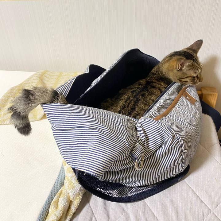 E590fcc3 6143 4189 810e f9fab549f3db 1664328221983