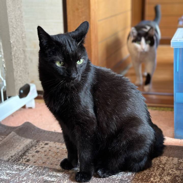 E5911f4d 1ea2 4b49 8838 98f3b3601e98 1684201486401