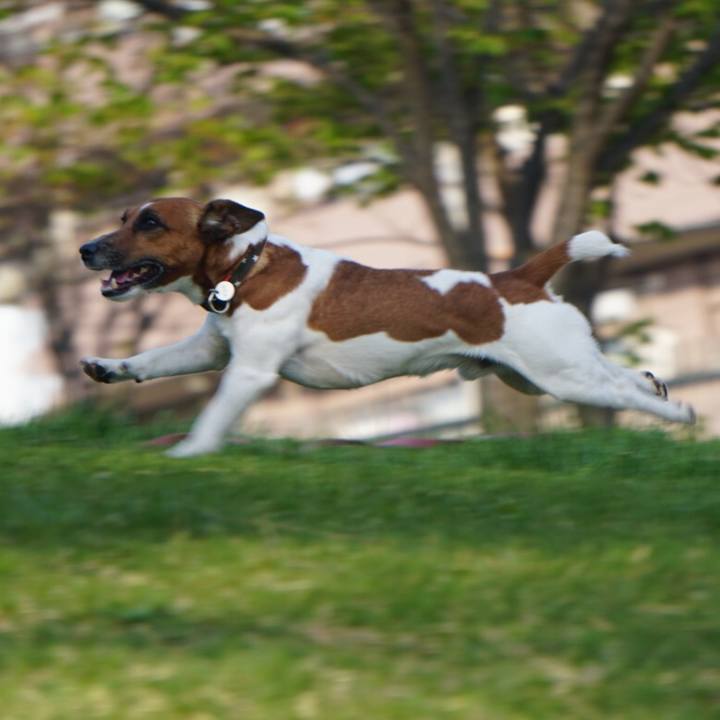 E5915209 ca74 4e91 82b1 59aae200d1bc 1523575947029