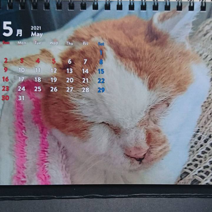 E5919cbb 708d 45e1 8423 c7f2093c5082 1620009479369