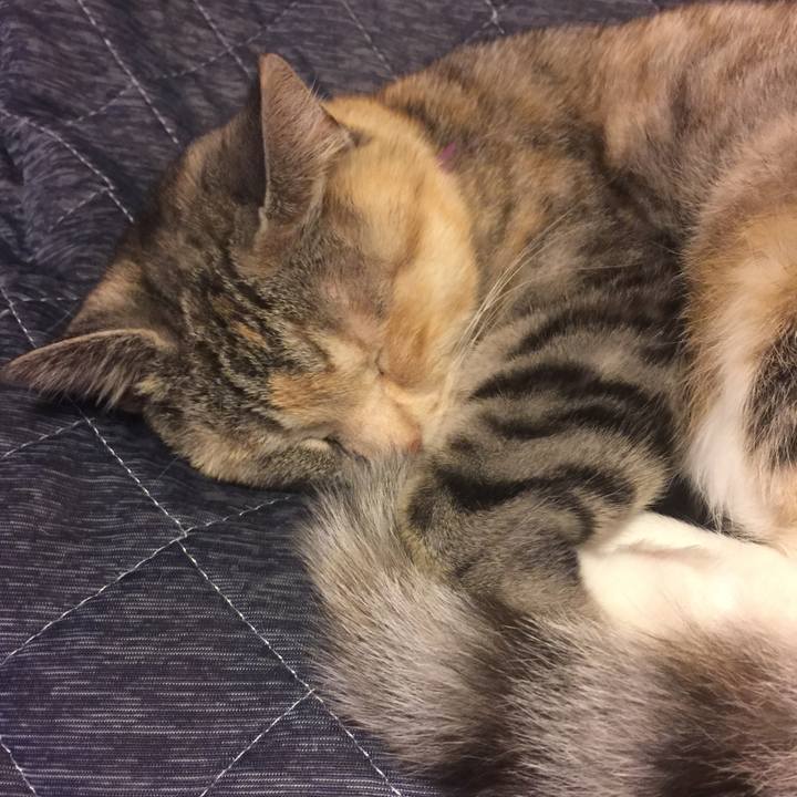 E591ccf6 6d75 4bc4 90e5 0e1f251b016f 1560173398820