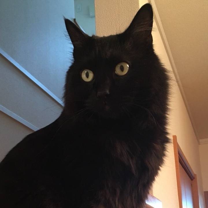 E591d161 f24e 4d66 aced 9bc45c316fa8 1527991413927