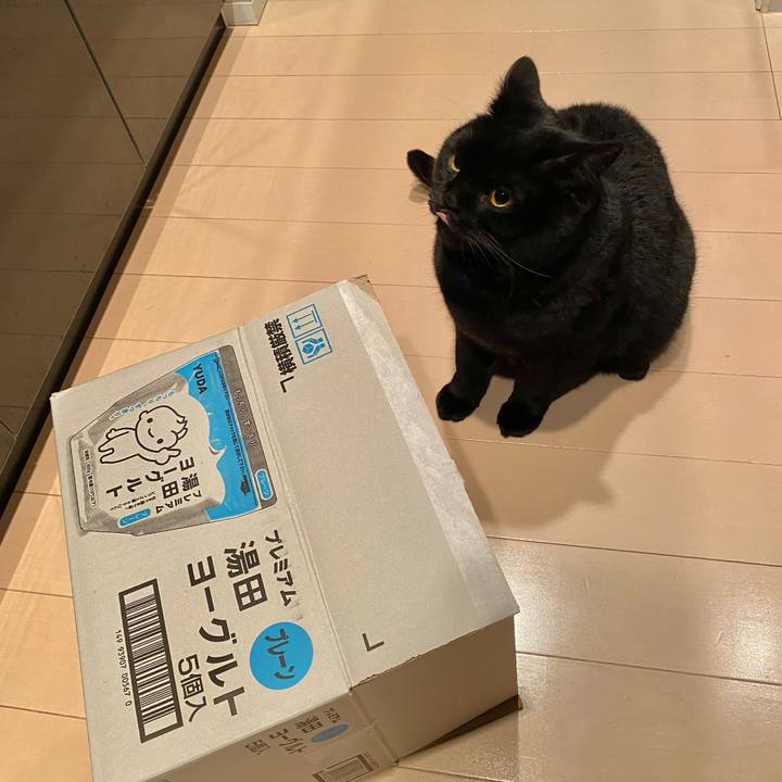 E591d449 370b 496b b8ab 093ccc858bce 1708000591686