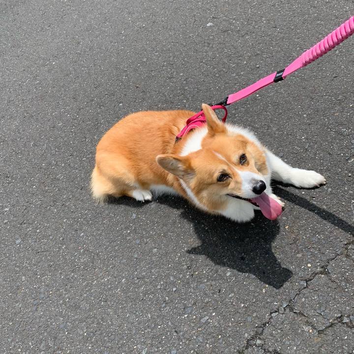 E5920aaa 68ed 493a b676 43e87f2c75bc 1625279821355