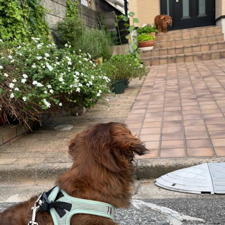 E5921e13 3bed 44f8 a447 d3ccb9df53cd 1721438780287