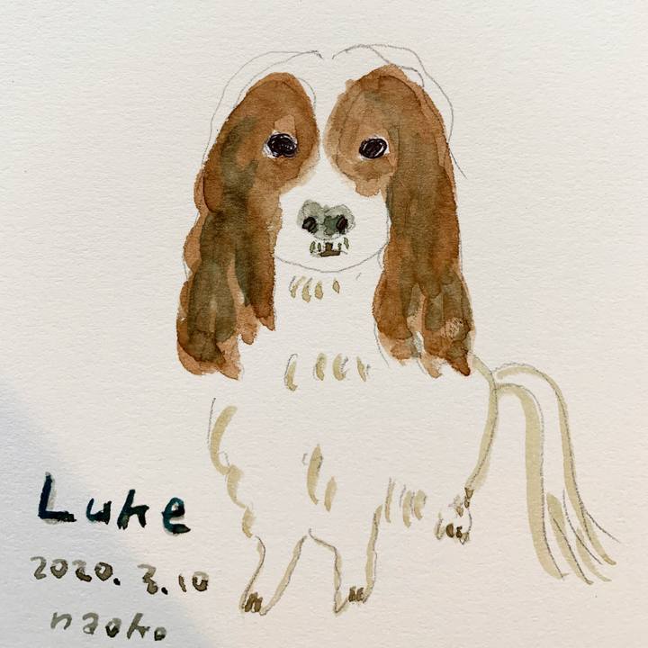 E5922fec 7b8b 476f b6b1 1e66877cfeec 1583826543717