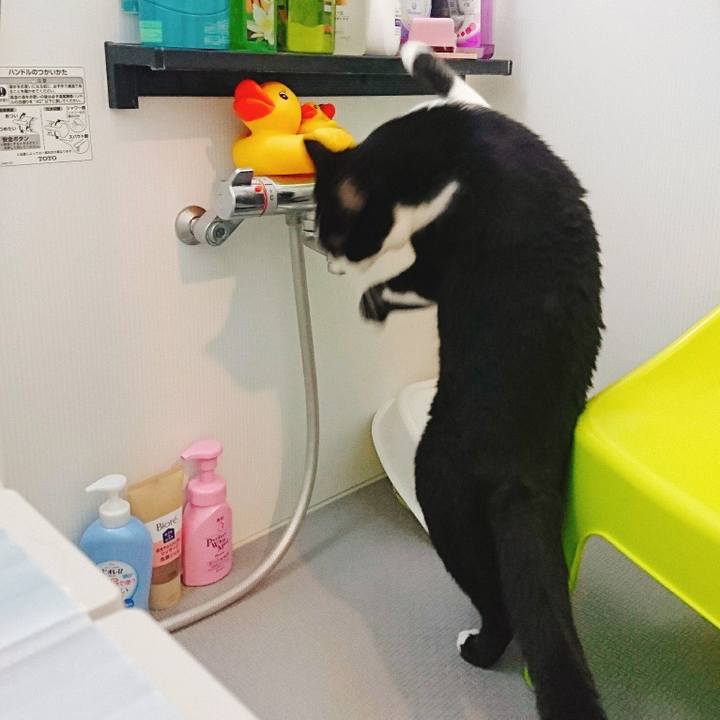 E59237d4 5a0d 43da ad90 38036db925e5 1527775965712