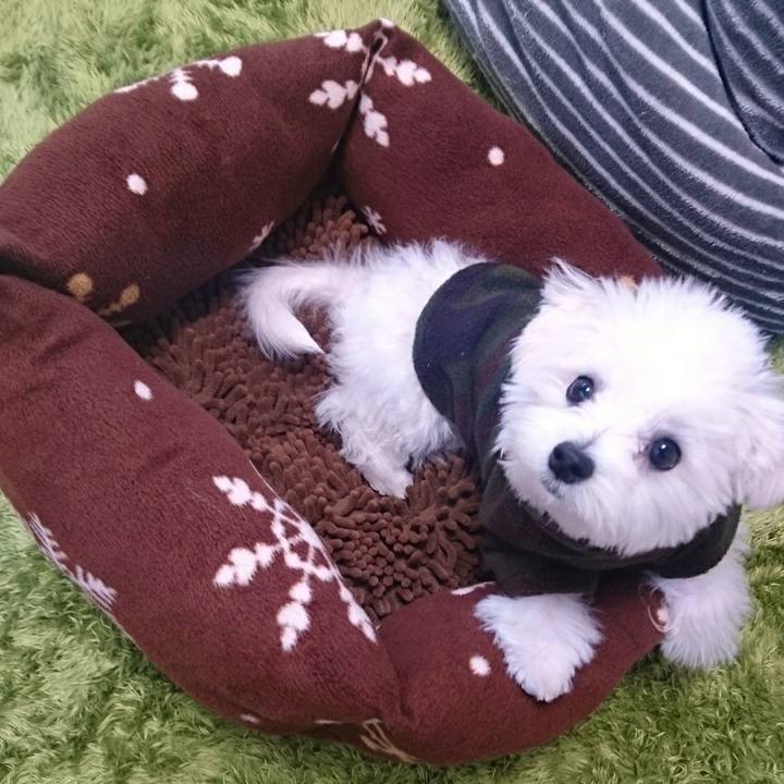 E592bb2f 0c67 4b06 8cf5 cece0dc4c50c 1511329946206