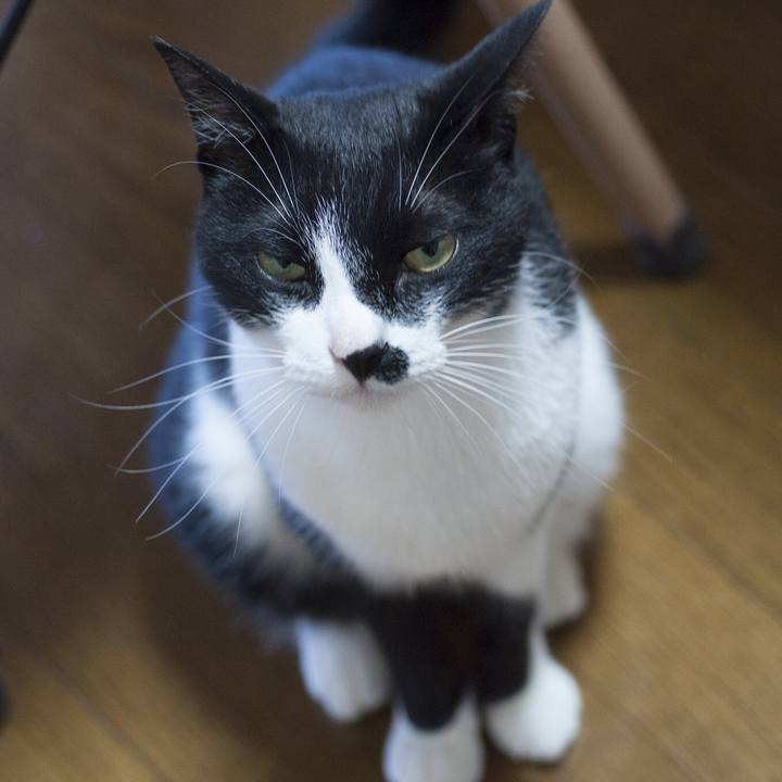 E592d9b8 99ea 4a0a 96ed 44d2396471af 1531218242993