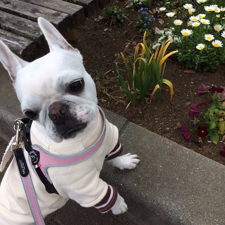 E592ebc1 ba7b 43d8 8bc7 8a8806ab4838 1523068241407