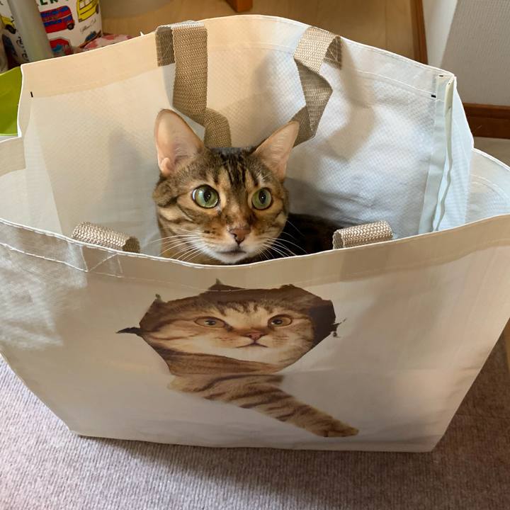 E592fe78 4d34 4132 9645 b8cf7c82123c 1616625619110