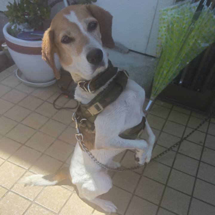 E59309b8 5a7f 40ad b523 39da7b21212d 1722059773248