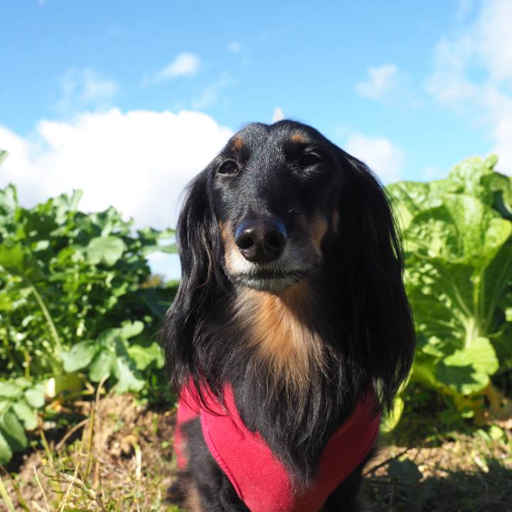 E5930b50 ee73 4389 a6bb 89e0fed8c0bb 1637982721908