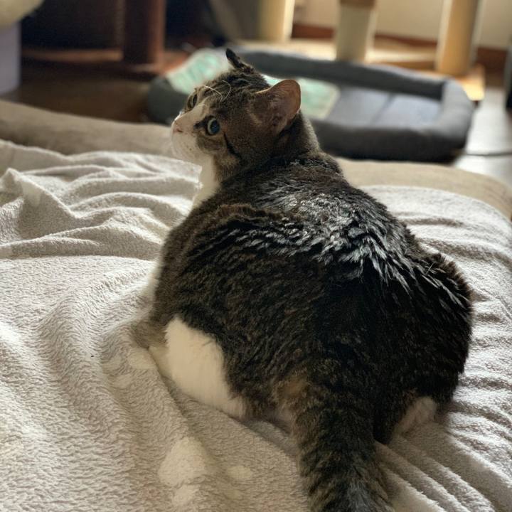 E59314c9 0dd6 413e b622 fb163cabf4a0 1754808120239