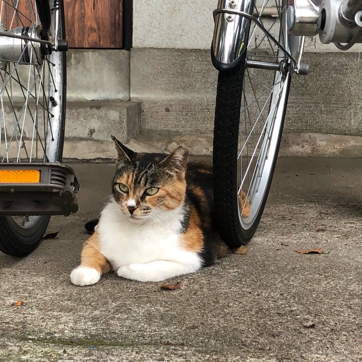 E5931b7a 5c08 417c a509 1483242c6e80 1623309505837