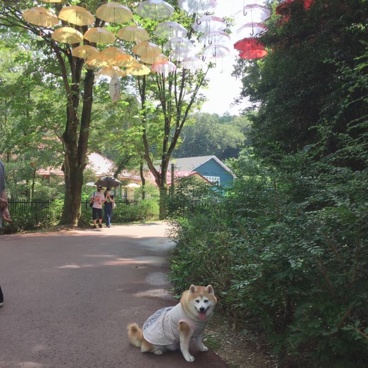 E593a9ea b194 445c 9915 9401d8ba1093 1604134500534