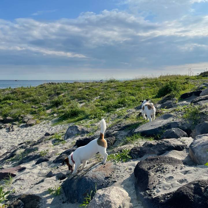 E593b55e 1c68 4e89 98a8 b4a698f6ed40 1625012304483