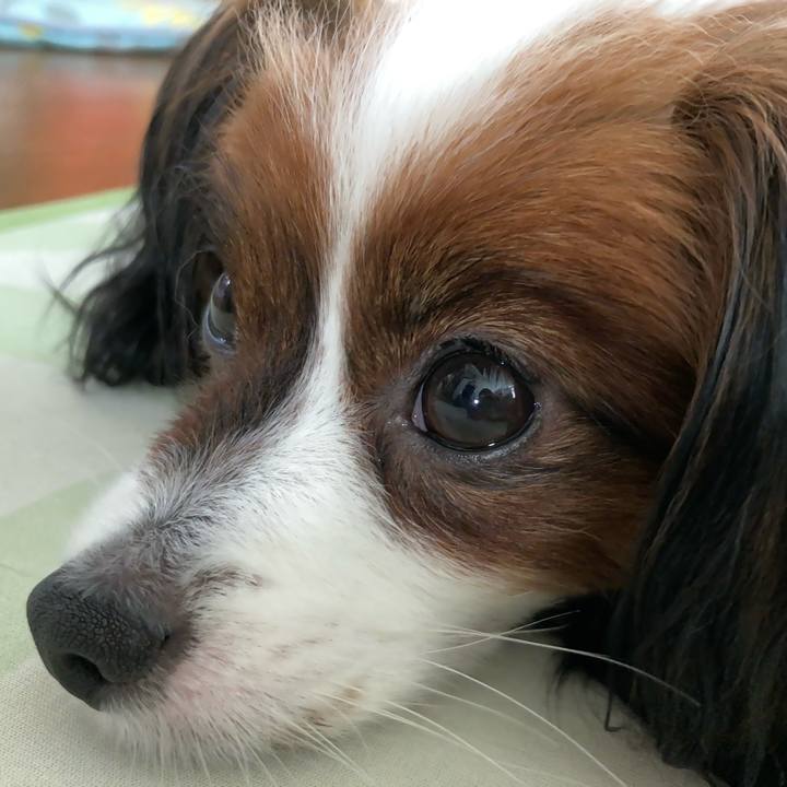 E593bc29 8dff 48bc 930d a0ee1ef3e25e 1631426023972