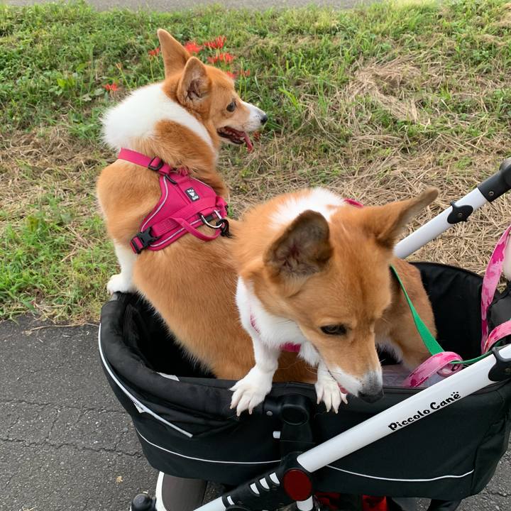 E593bc90 ecba 40e4 aa10 0241369886b8 1631523895853