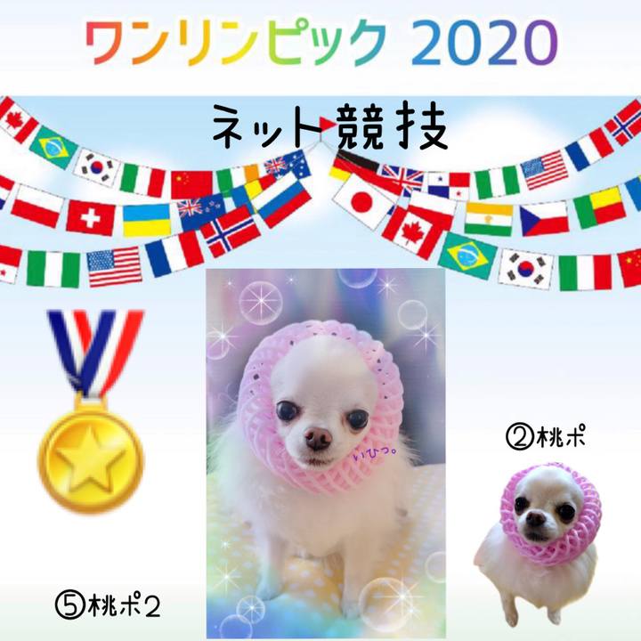 E593d275 3417 4949 b6bc f1bd54f57aab 1627309479722