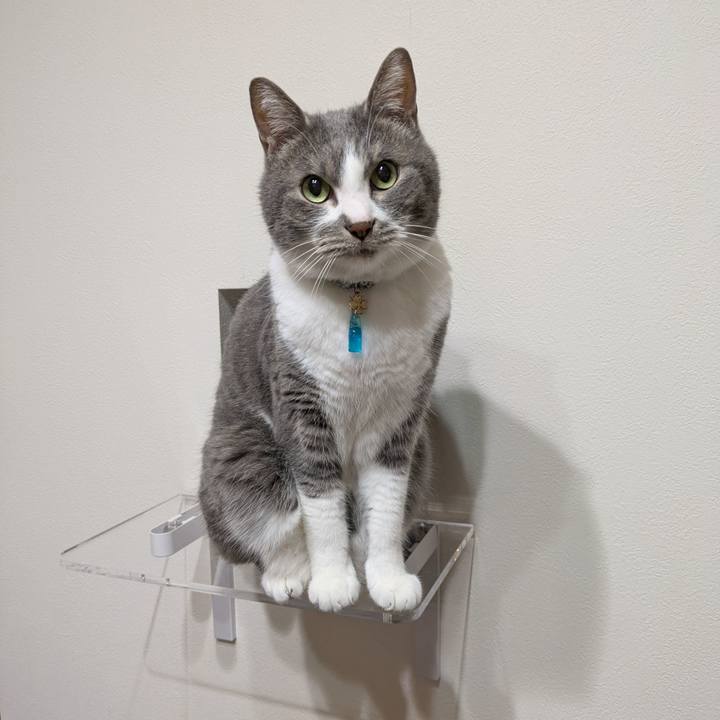 E593f549 a7fb 40e7 bc1f 7c20fb686a14 1744799555028