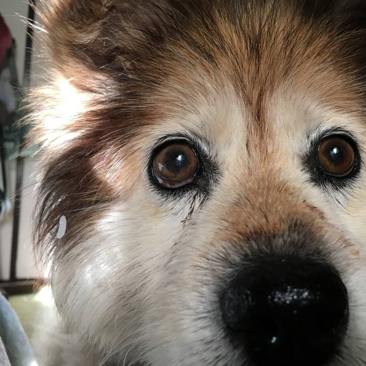 E593fe08 3103 4048 b2af f188a7a95381 1593192396128