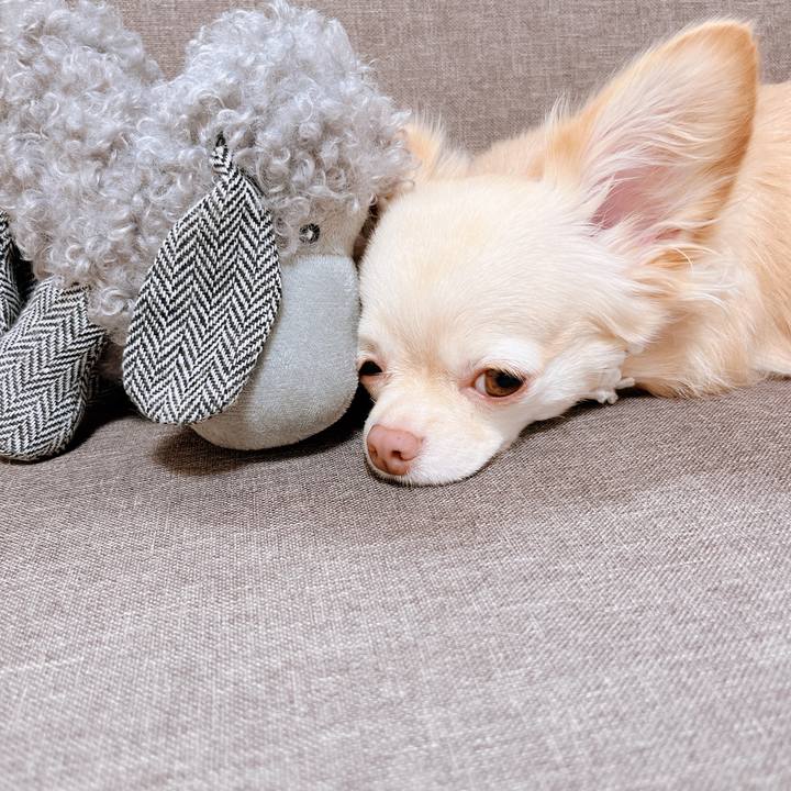 E59407e2 5e32 4e77 9b3a 44ced4d60970 1662088262016