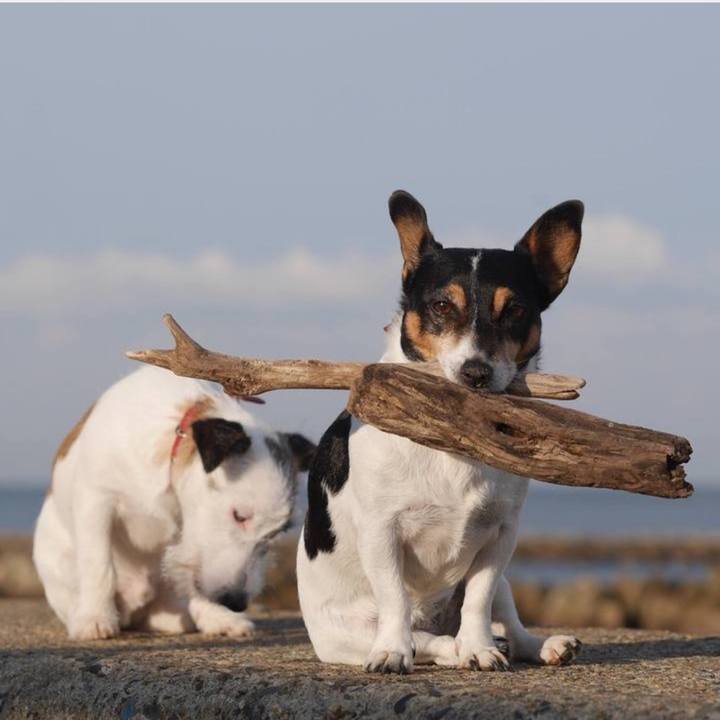 E5943173 c034 4468 b883 6f26e1a72ecf 1761897878477