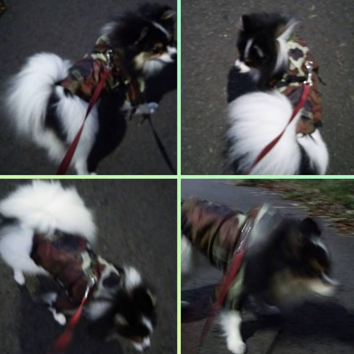 E594603b cb65 4fb0 ab10 d564da1c9fae 1508491186409