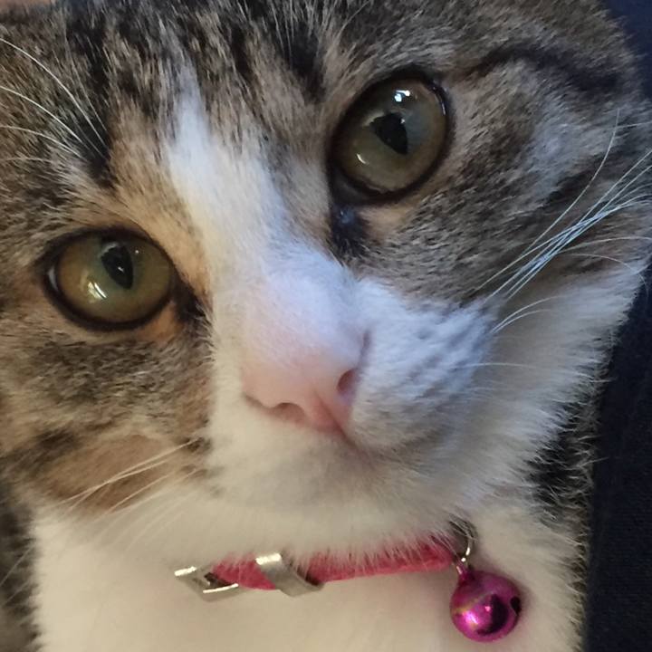 E5946f93 6338 449b af22 9668a5929a45 1660388459000