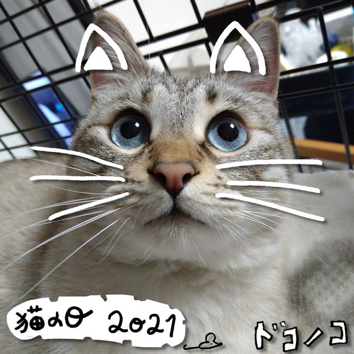 E594856d b980 469e b27e 388416afb5c1 1614005715828