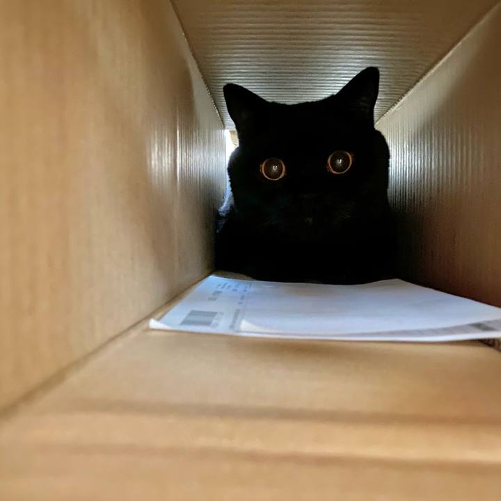 E5948786 1614 4cae 9674 c1bf095cafb0 1696977381332