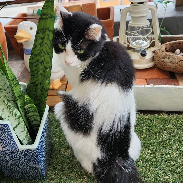 E594901c 00d4 4ea9 a3d7 50545908f7ff 1727520608846