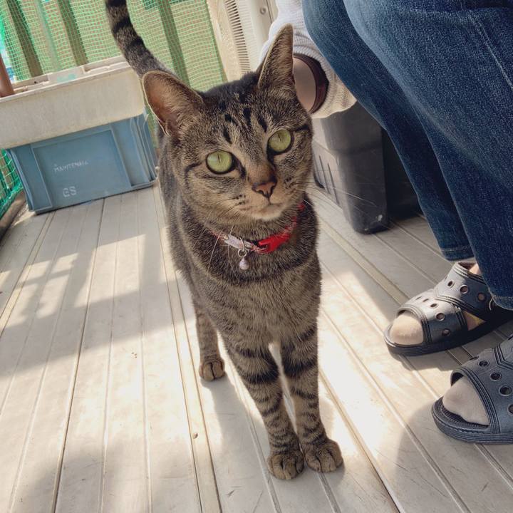 E59499cf 5194 427d 8522 edabc404ebcb 1553216079780