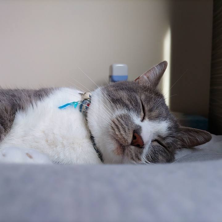 E595155e 7400 4e77 a159 4e409e2ef0a9 1685833819110