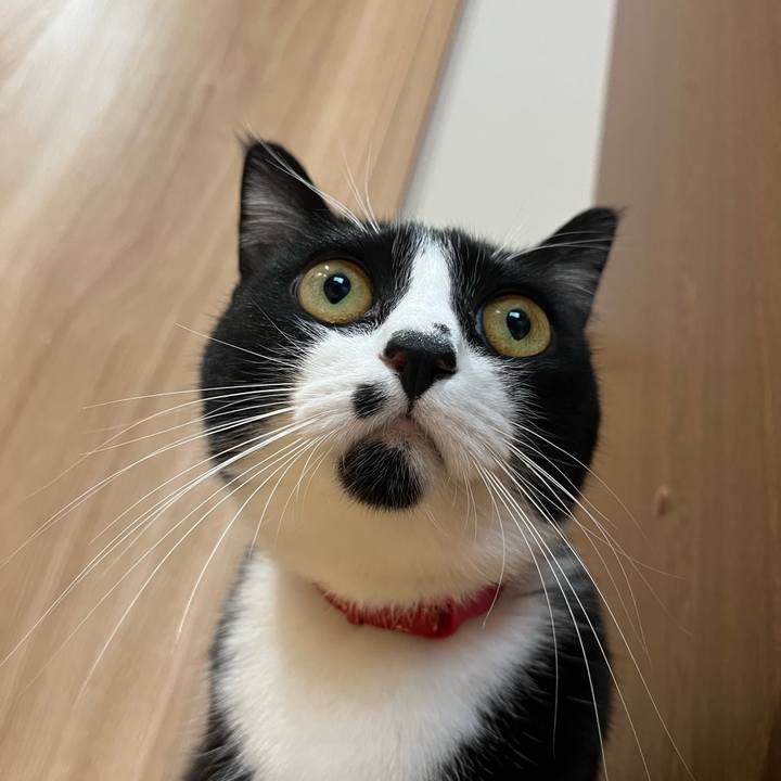 E59524b8 093a 45bb 8b7d 13025370b194 1637972371166