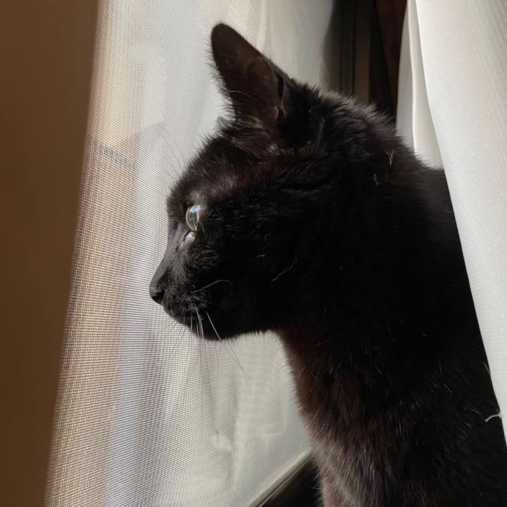 E59525ee 269b 44a8 b840 d907b44c64c0 1650765015323