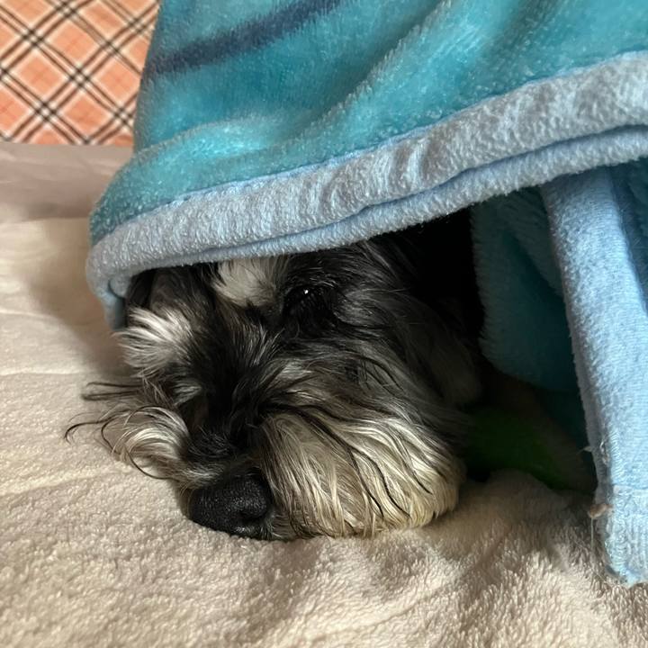 E5953197 a556 454c a45c 87ead21d5d1b 1769870571297