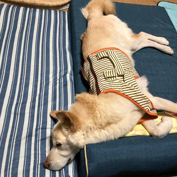 E595356b 350a 43f4 99d2 f71f9fba905d 1654348461189