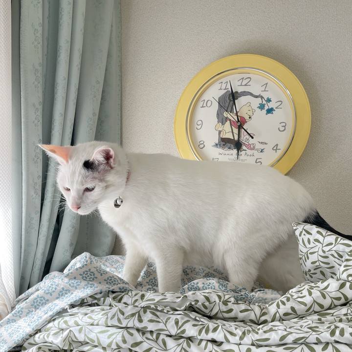 E595540a 3b1b 4d2f 88df 1352b7a1a1e4 1764802414590