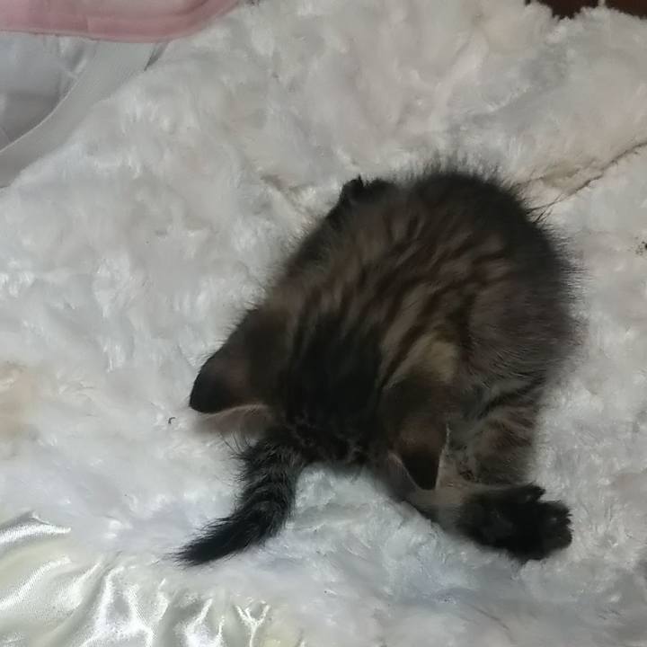 E5956d15 af06 479a 979a 811ef5386389 1632006226858