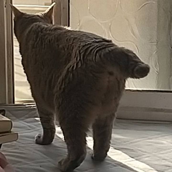 E59582a1 5cd3 42f6 8e06 ff0f92a1c719 1663541640587