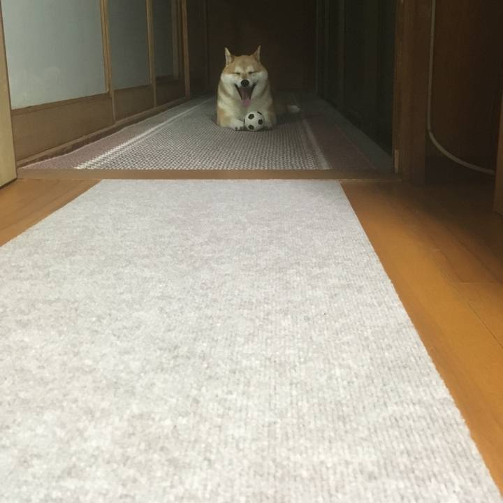 E595cb25 136e 45f4 9f49 bec797bcefbe 1545038687455