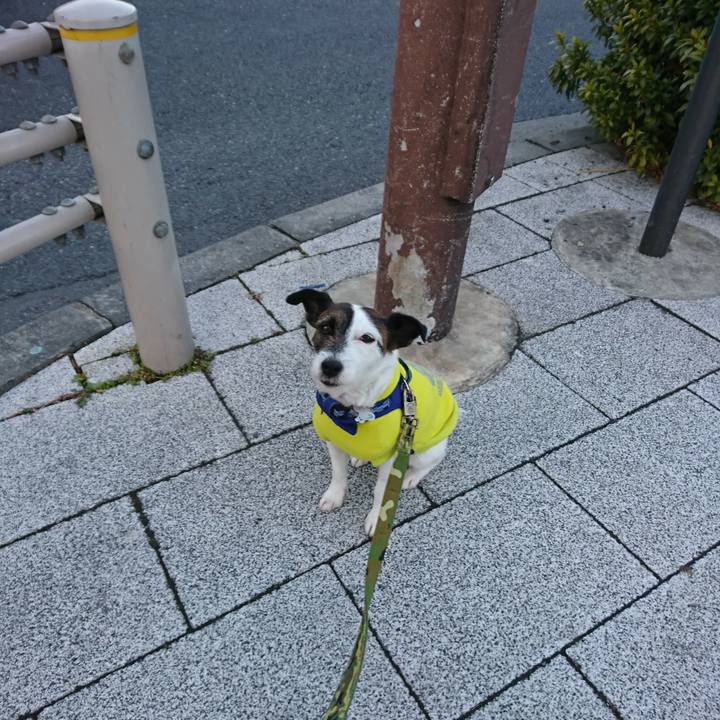 E595cea4 cdff 42cd 99ac bdba14796f14 1518385294253