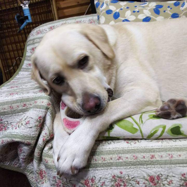 E595d4f4 951e 463a 8e3a 8aa479dbf025 1535027095191