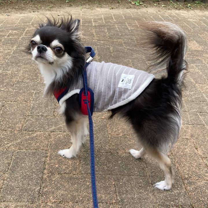 E595dc79 89e2 47b4 89aa f63dd798eb0e 1715484381988