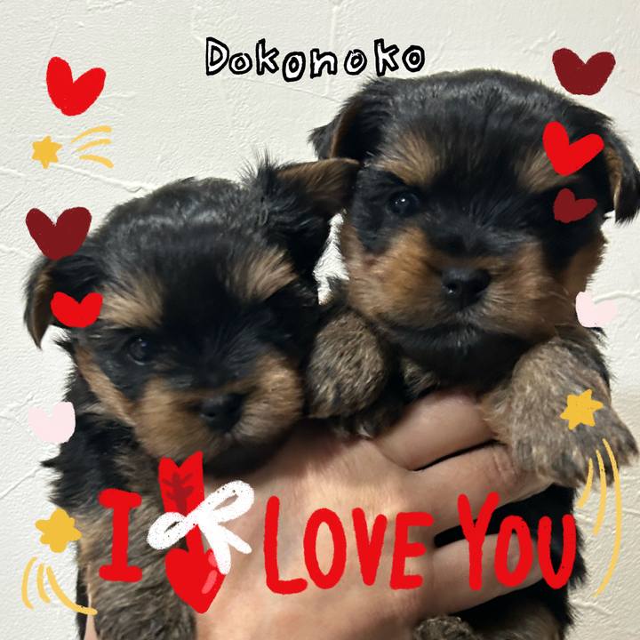 E595e764 2c05 4352 866e b96c7f2a953d 1706778876618