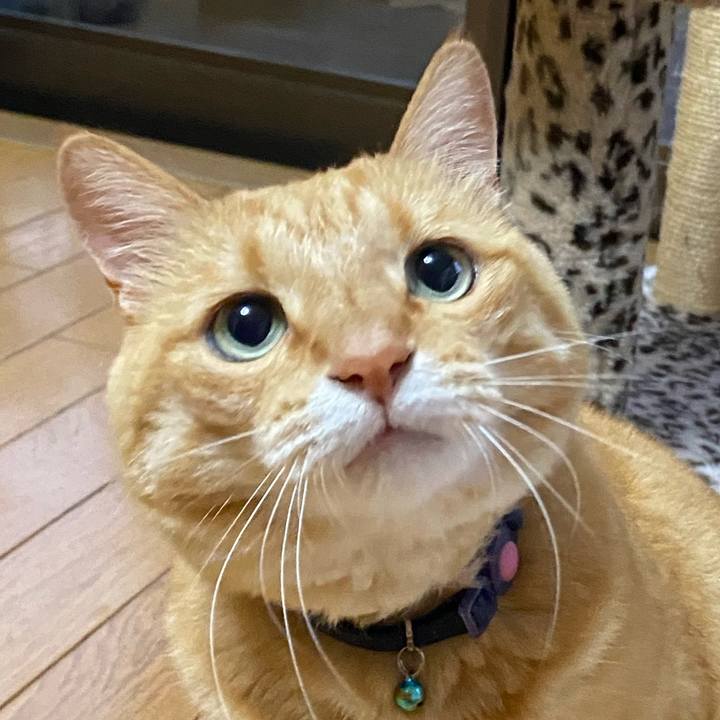 E596447e 140c 4f4d 8a50 9472aae2ead2 1759232235613