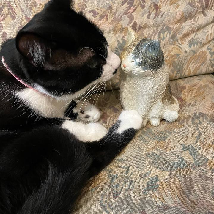 E5964fb9 1f40 4b0e 9a18 5216770c0927 1650088016875