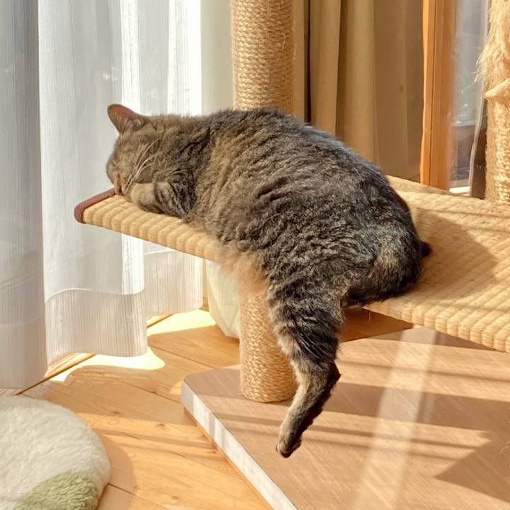 E596516c 7a7f 42b7 b2ee 95c3fbaf30db 1674187306660